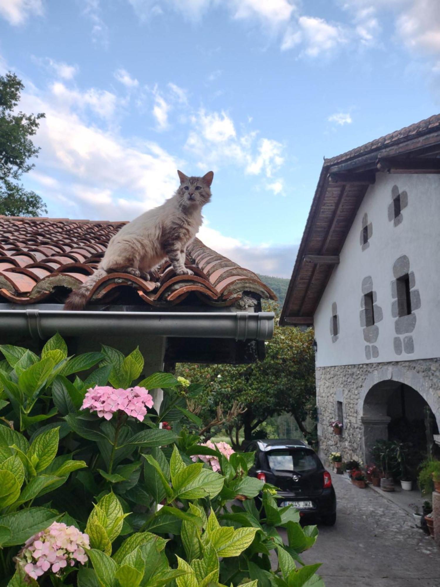 Hotel Rural Natxiondo レケイティオ エクステリア 写真